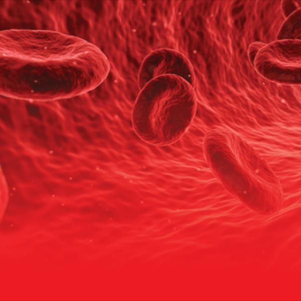 blood cells