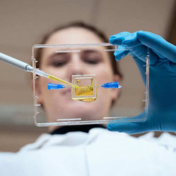 Researcher pipetting