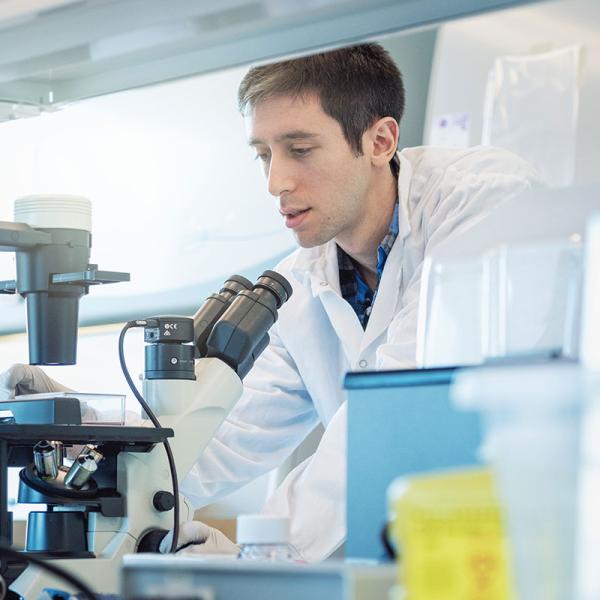 Yale-Michaels-Zandstra-Lab-Immune-Cells