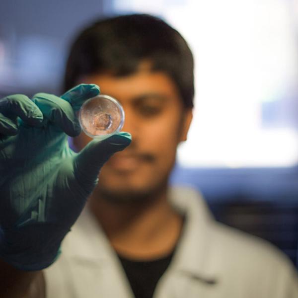 researcher looking at printed biological material