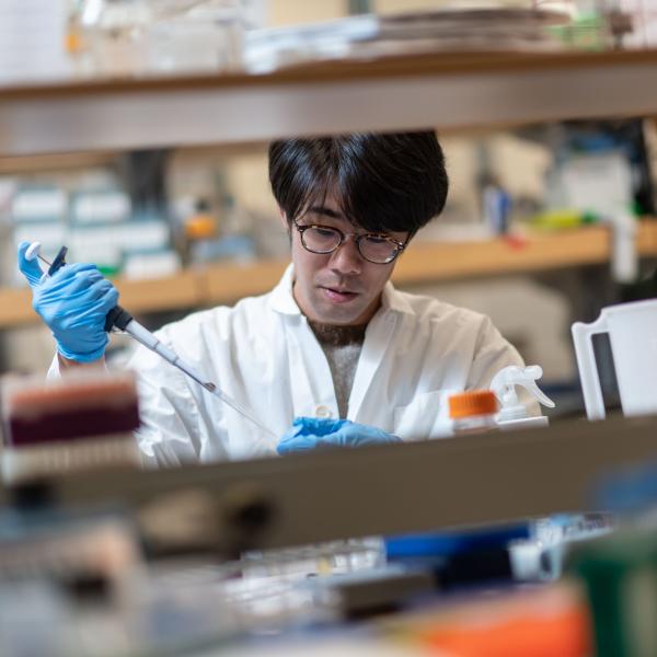 Researcher in wet lab wearing a lab coat and pipetting