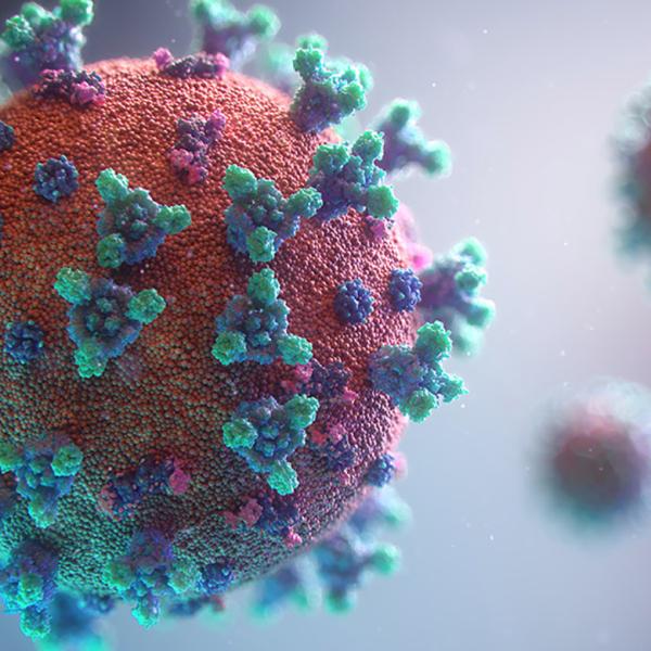 coronavirus image